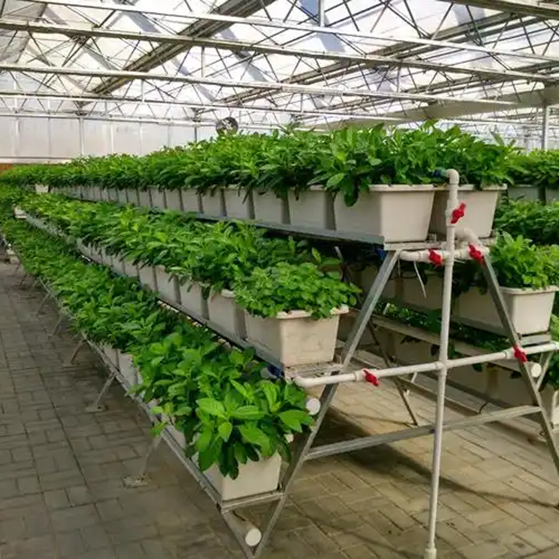 张家口市植物工厂薄膜大棚 - 排名